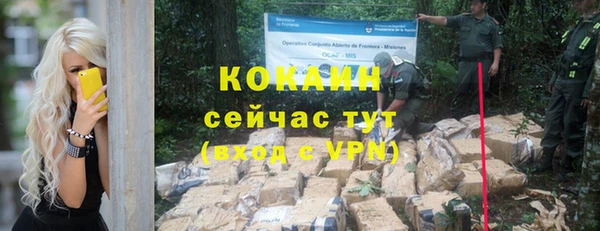 ALPHA PVP Няндома